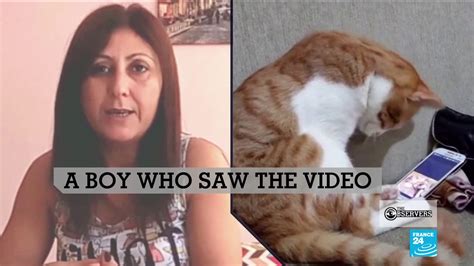 Hoax alert: This cat did NOT cuddle up to a video of his former owner